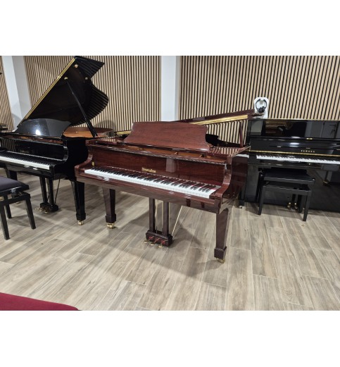 Wendl & Lung 178 Professional II (2006) - Occasion